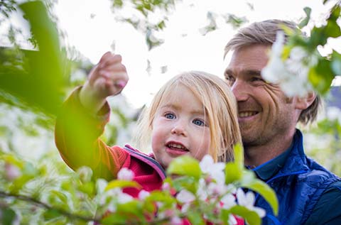 Familienausflug durch die blühenden Obstwiesen