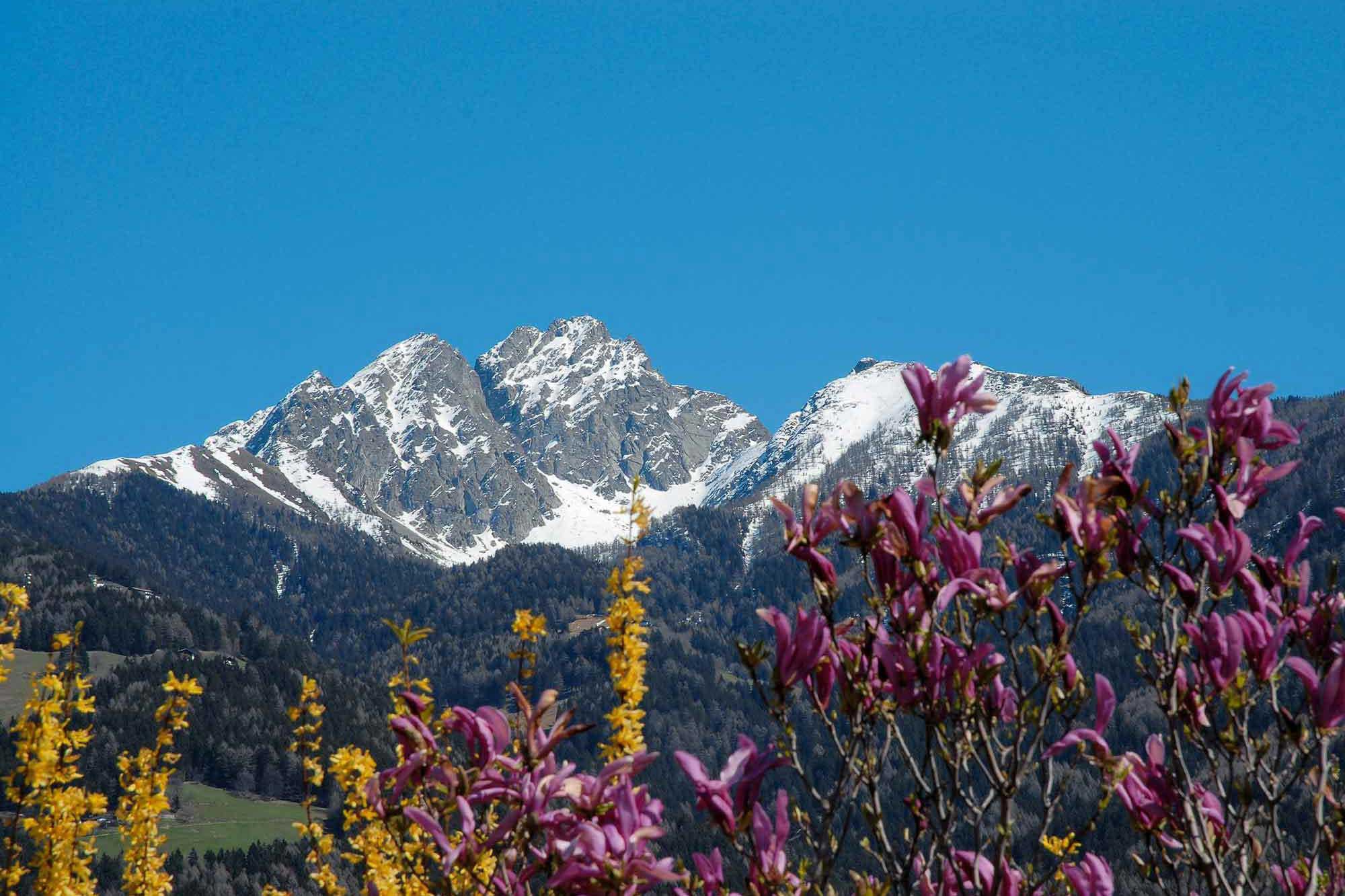 L’Ivigna in primavera