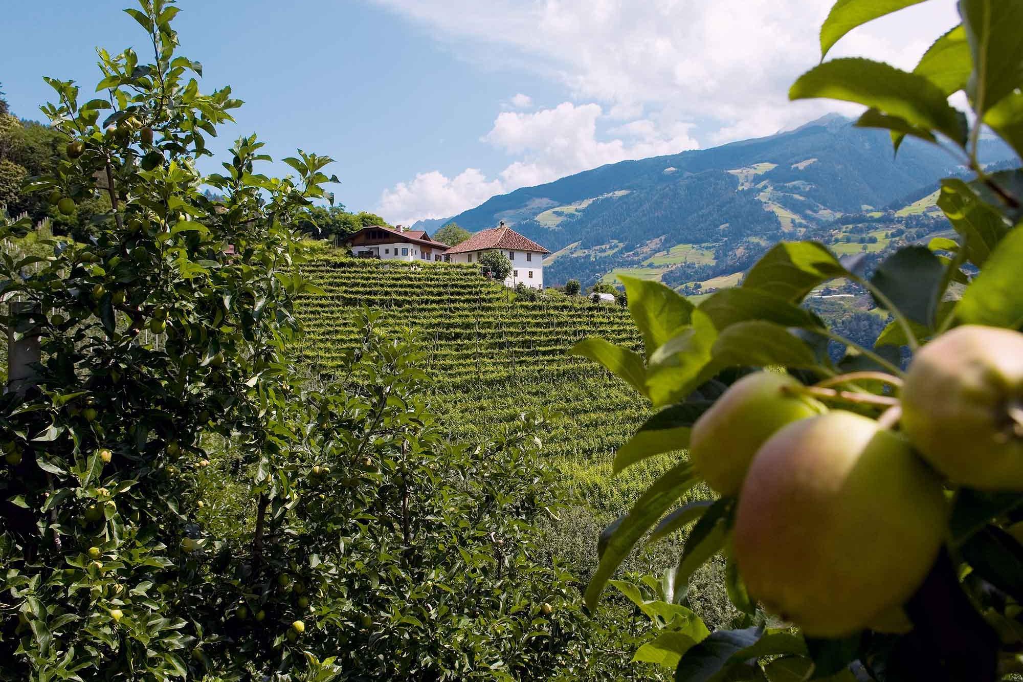 Rifiano baciata dal sole